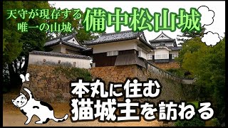 備中松山城 猫城主と現存する唯一の山城訪問 オンラインツアー