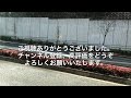 【いすゞエルガ】都営バス飯64系統 九段下→甘泉園公園 いすゞエルガ 2dg lv290n2 乗車動画 走行音