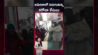 అమెరికాలో పెరుగుతున్న కరోనా కేసులు | Ntv Global