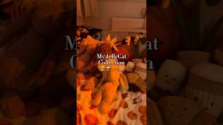 #autumn #vlog #fall #jellycats #jellycat #collection #haul