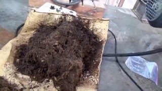 BANANA STEM FIBER RECOVERY