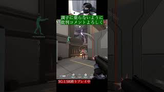 最後の息で精神的疲労がわかります　#valorant #fps #下手 #初心者 #sg #sr #ゲーム #ゲーム実況 #やってみた #逆vct