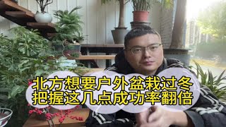 北方盆栽想让室外过冬？把握这几点让您成功率翻倍！