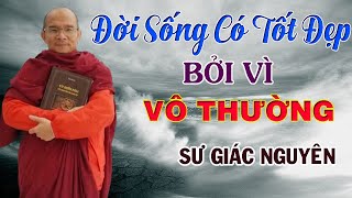 Đời Sống Có Tốt Đẹp Bởi Vì Vô Thường | Sư Giác Nguyên | Sư Toại Khanh