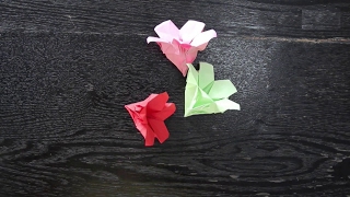 How to make a Cute Origami Plant: Rhododendron