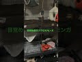 【フクロモモンガ】2階建て飼育　 shorts