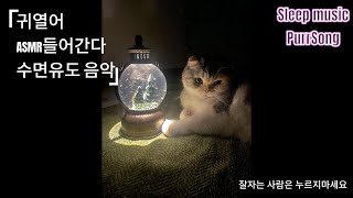 [ASMR] 귀 열어 ASMR 들어간다 절대 끝까지 못 듣는 수면유도 음악🌙 잘자는 사람은 누르지마세요 PurrSong 🐈😺