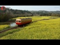 【撮っておき！日本】小湊鐵道 千葉　花列車 里山をゆくよ