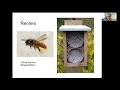 bryan danforth the solitary bees