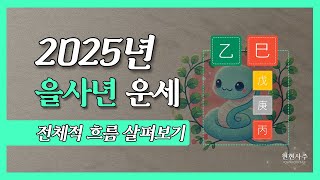 [사주] 2025년 을사년 운세 / 전체 흐름