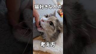 猫好きは頭がおかしい（良い意味で）#かわいい #cute #cat #猫 #shorts