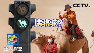 好新奇！敦煌设置全国首个“骆驼红绿灯”，千米驼队“不堵不乱” | CCTV「正大综艺」