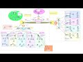 COMPLETE Campus Area Network System Design & Implementation- Part 1&2 | Campus Area Network Project