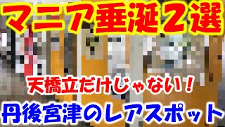 京酒場漫遊記　酒場なし番外編　丹後宮津のレアスポット２選　京都で唯一日本の100名瀑＆絶滅危惧種の懐かしい自販機が並ぶ全国レベルの珍スポット　#金引きの滝　#ドライブインダルマ