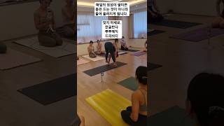 [무이스요가] 정성은 쌓여간다, 부자피다사나 #요가 #아쉬탕가요가 #쇼츠 #yoga #ashtangayoga #yogashorts