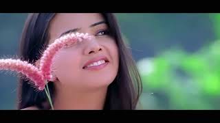 Feel My Love 4K Video Song || Aarya Movie Songs || #alluarjun  Anuradha Mehta, #dsp #sukumar