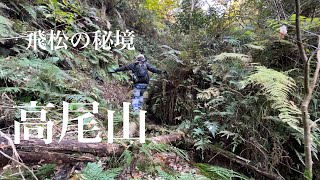 【秘境】飛松の森