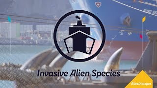 Invasive Alien Species