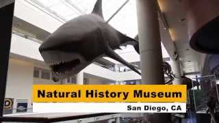 San Diego   Natural History Museum 1080