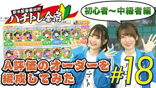 【初心者動画】第18回「A評価のオーダーを編成してみた！」【ハチトレ合宿】