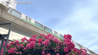 薔薇と六甲ライナー (神戸新交通1000型電車・神戸新交通3000形電車)