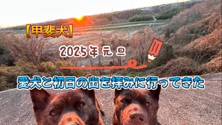 【甲斐犬】 2025元旦 朝散歩と初日の出