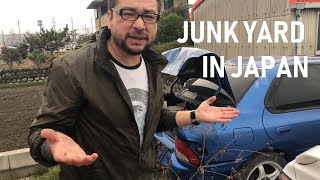 JDM CARS JUNK YARD! LOOK WHAT WE FOUND!