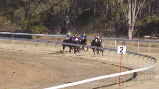 Nanango 20240803 Race 6