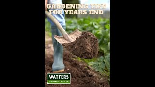 👨‍🌾Gardening Tips for Years End 👨‍🌾