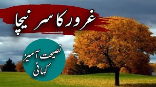 Maghroor darakht |Urdu Story| |moral Story| |Urdu kahanian aur maloomat|