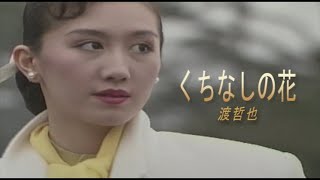 （カラオケ） くちなしの花　/　渡哲也