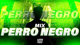 MIX PERRO NEGRO - TOP 2023 (FERXXO, Bad Bunny, Karol G, Quevedo, Bad Gyal, etc)