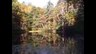 ★　神秘の青沼（北海道空沼岳山中）