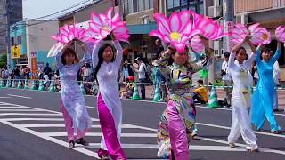 福山バラ祭り、ローズパレード②