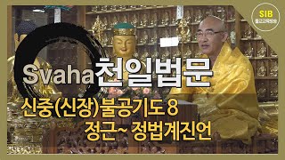 자성을 찾는 Svaha 천일법문 제188회... 신중불공기도(신중청) 8... 정근 정법계진언