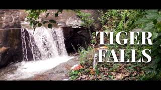 Tiger falls, coutrallam📍