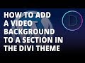 Divi Theme – Creating a video background with the Divi WordPress theme