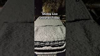 First Live snowfall Shimla Today 2024  / Shimla Snowfall #shorts #shimlasnowfall #livesnowfallshimla