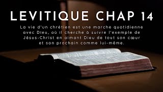 Levitique chapitre 14 louis segond