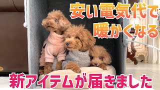 【寒がりのわんちゃんに朗報】お留守番中の電気代のお悩み解決！【パネルヒーター】