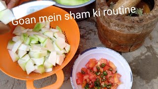 Goan mein sham ki routine| daily village routine #sitara yaseen