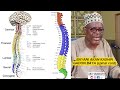 BAYANI AKAN KASHIN GADON BAYA | SPINAL CORD. Dr Wali herbal medicine Gombe. Islamic medicine Nigeria