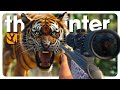 Hunting TIGERS on the NEW Sundarpatan map (ᵗʰᵉʸ ʷᵃⁿᵗ ᵗᵒ ʰᵘⁿᵗ ᵐᵉ) | theHunter: Call of the Wild