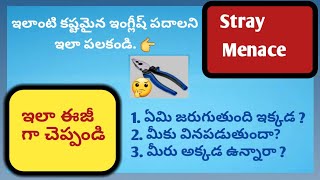 ఇలాంటి కష్టమైన ఇంగ్లీష్ పదాలని, ఇలా పలకండి|V For Vocabulary In Telugu |Easy English Tutorial.