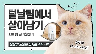 반려동물 털날림 걱정 끝! 우리 집 댕냥이 털과의 전쟁에서 살아남는 법