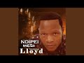 Ndovimba Nemi