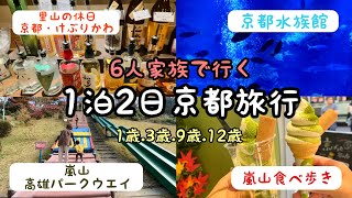 【京都旅行vlog】ドリンクアルコール飲み放題でサービスがとにかく半端ない宿👘子供も大人も大満足の京都旅🍁嵐山食べ歩き🍡京都水族館🦭観空台遊園地🎠etc...