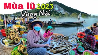 NƯỚC NGẬP SÂU  vùng núi 2023 - Quá nhiều cá đồng giá rẻ chợ biên giới Cống Đồn