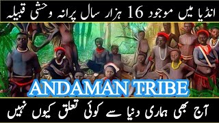 DOCUMENTARY ON INDIAN TRIBE ANDAMAN || Scariest Tribes You Don't Want to Meet || Uncontacted Tribes