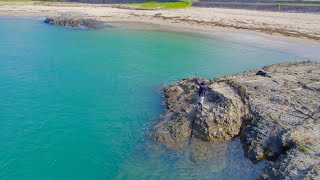 灼熱のランガンエギング‼︎ 〜黒潮が育む豊かな海域は